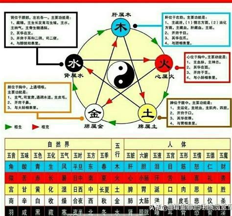 金木水火土 查詢|金木水火土命查询表